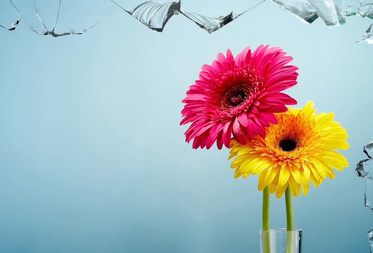cropped-artwork-142877_1920-1.jpg